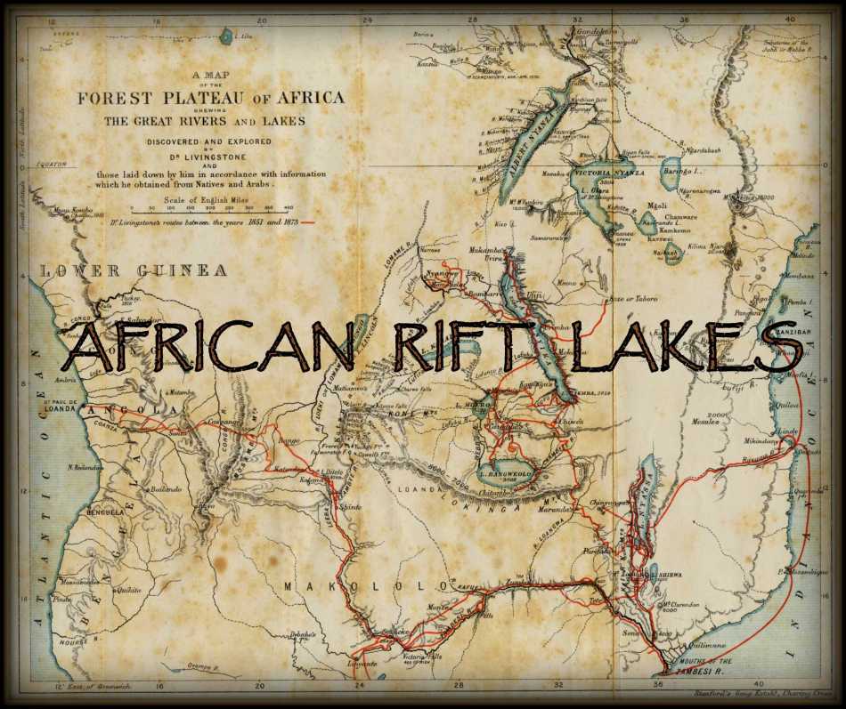 AFRICAN RIFT LAKES